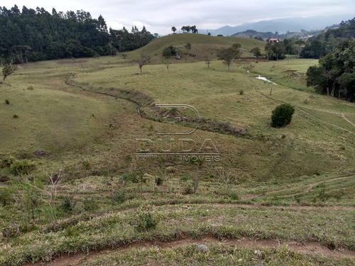 Imagem 5 de 15 de Sitio - Fazenda Rio Das Garcas - Ref: 32161 - V-32158
