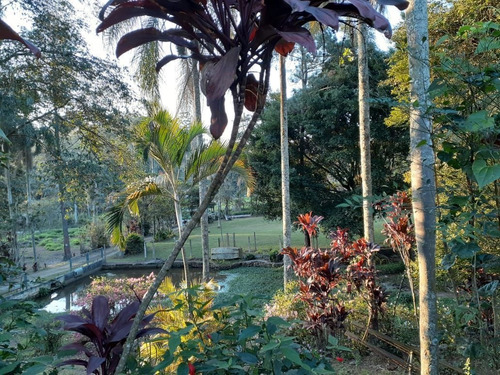 Imagem 8 de 11 de Terreno À Venda, 12000 M² Por R$ 6.500.000,00 - Perová - Arujá/sp - Te0001