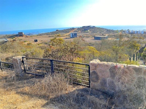 Imagen 10 de 10 de Sitio En Venta En La Ligua