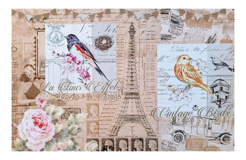 Imagen 2 de 5 de Decoupage Laminas Set Pajaros Vintage Laura Craft