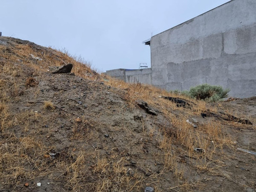 Imagen 6 de 7 de Terreno - Caleta Olivia