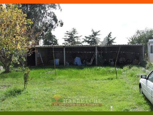 Imagen 12 de 12 de Venta De Casa 3 Dormitorios En Progreso, Canelones