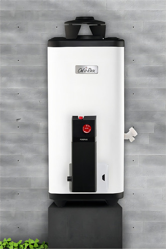 Calentador Calorex De Paso Coxdp-11 Gen 4 Gas Lp Color Blanco Tipo de gas GLP