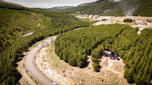 Venta Lote Villa Pehuenia