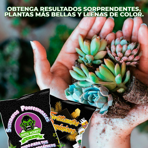 Sustrato Cactus Suculentas Con Fertilizante