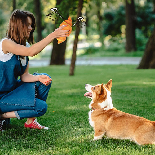 Juguetes De Enriquecimiento De Perros Juguetes Chillidos De