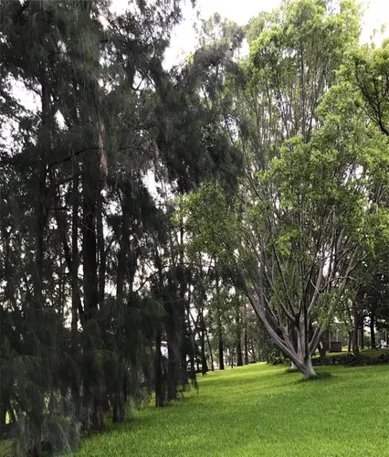 Espectacular Rancho