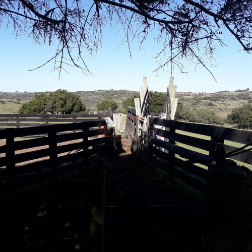 Imagen 10 de 29 de Maldonado Campo Con 150 Has Ganaderas En Aigua, 70 Kms De Punta, Serrano, Pintoresco, Con Instalaciones