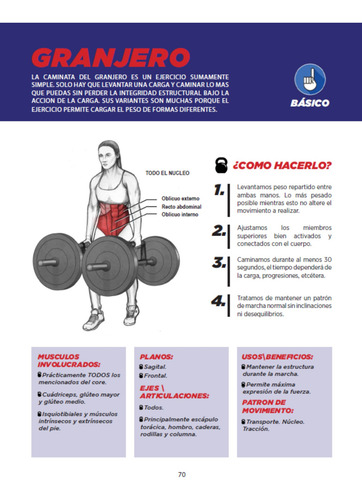 Fuerza Entrenamiento Y Anatomía De La Zona Media Tomo 1