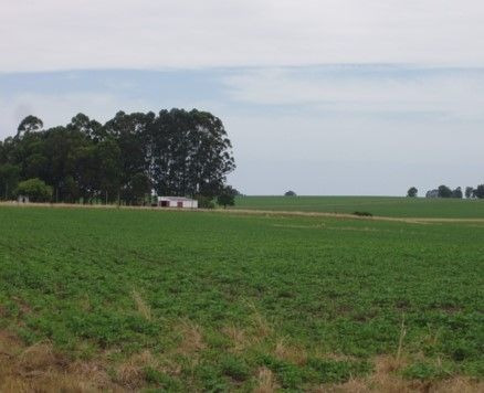 Imagen 6 de 15 de Terreno Campo En Venta Ubicado En Aguada, Montevideo