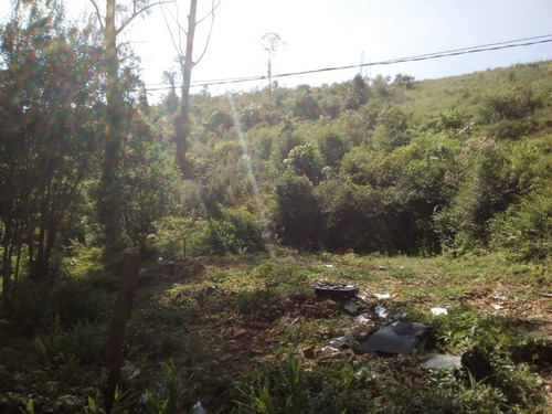 Imagem 7 de 12 de Terreno - Te-27 - 32142525