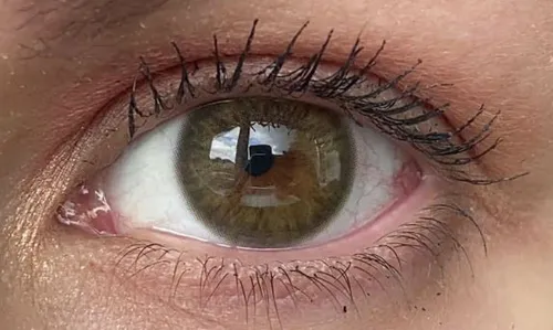 Lentes de contacto 2025 color verde miel