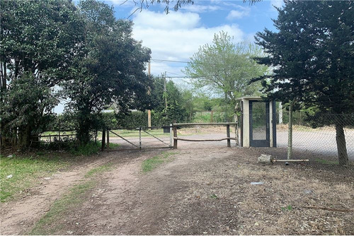 Imagen 2 de 15 de Hectareas Venta En Villa Elisa, Ideal Ley Habitat