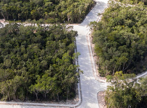 Imagen 2 de 6 de Terreno En Venta A Tulum