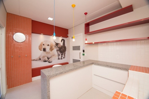 Imagem 13 de 28 de Apartamento - Ap00193 - 68913820