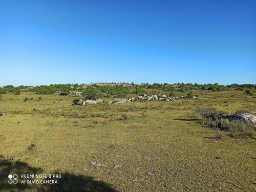 Se Venden 236 Hectáreas, Sobre Ruta 7, Entre Batlle Y Ordóñez Y Valentines. Campo De Sierra, Con Aptitud Ganadero Forestal.