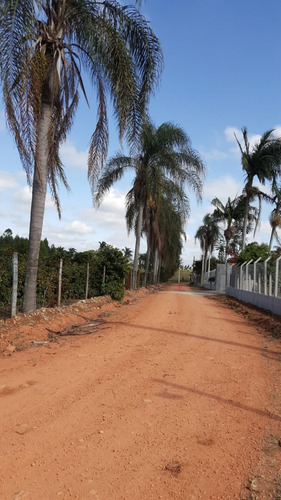 Imagem 28 de 30 de Chácara 12mil M2, Rico Em Água Com Lago, Casa Sede Boa, Pomar Formado, Piscina, Poço Artesiano, Canil, Campo De Futebol, Ótima Localização - Ch00251 - 70808928
