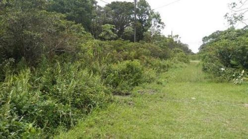 Imagem 3 de 5 de Terreno No Bairro Santa Cruz Em Itanhaém - 6449