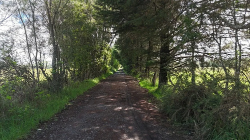 Venta Terreno 3 Hectáreas A 20km Del Centro De Temuco