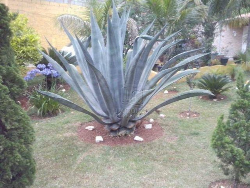 Chácara Residencial À Venda, Da Roseira, Extrema. - Ch0001