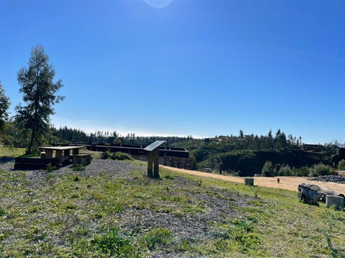 Sitio En Venta En Matanzas (incluye Tiny Cabin)