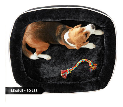 Cama Para Perro Grande Impermeable Transpirable Color Negro