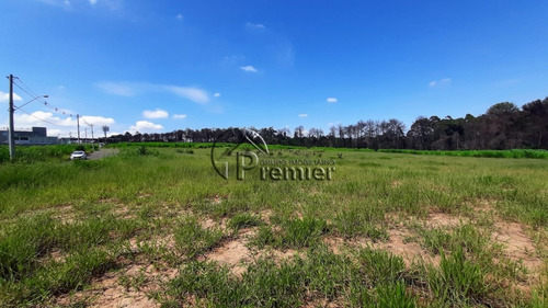 Imagem 5 de 6 de Terreno Industrial Com 6.190 M² - Europark - Indaiatuba/sp - Te00887 - 70724749