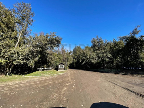 Imagen 13 de 16 de Venta Lote 3183m2 , Bº Calfuco, Villa La Angostura