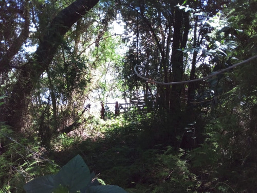 Imagen 5 de 15 de Vendo Pequeño Bosque Sobre El Río Corriente En La Ciudad De Esquina!!!!