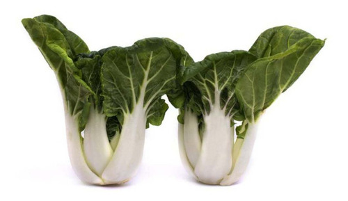 40 Sementes De Pak Choi Canton Repolho Chinês