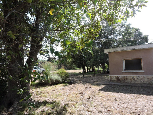 Imagen 8 de 8 de Chacra En Venta En La Zona De Mas Desarrollo De San Pedro