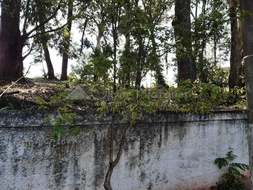 Imagem 7 de 9 de Terreno À Venda, - Parque Dos Príncipes - São Paulo/sp - 17347