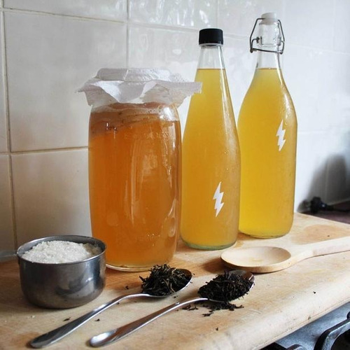 Imagen 5 de 5 de Hongo Scoby Para Preparar Kombucha