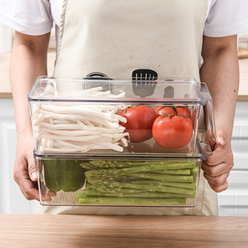 Imagen 7 de 9 de Organizador De Refrigerador Con Tapa Y Mango S