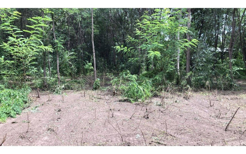 Imagen 5 de 6 de Oportunidad!! Lote En Comuna San Roque Recibe Vehículo!!