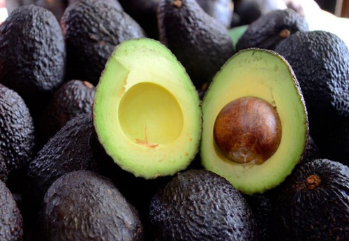 Corrida Financiera - Produccion Y Venta De Aguacate Hass