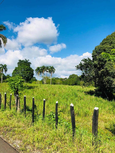 Vendo Finca En Monte Plata 540 Tarea Bien Acceso