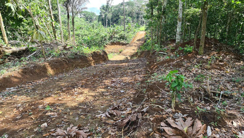Imagen 12 de 14 de Linda Finca 32 Hectáreas Jambelí - Lago Agrio - Oriente