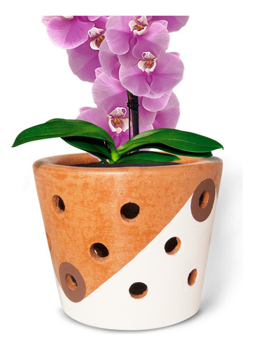 Maceta Grande Para Orquídeas Barro Natural, Blanco Ostión Y Café Orchid Grande