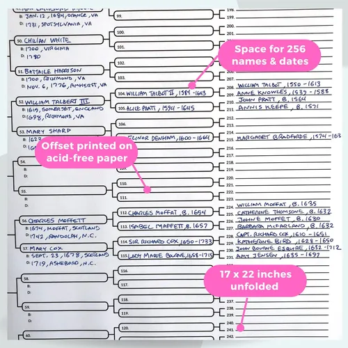 10 Graficos De Pedigri En Blanco Para Genealogistas (8 Gener