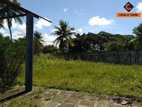 Imagem 2 de 11 de Terreno Em Lauro De Freitas - Te00485 - 69983069