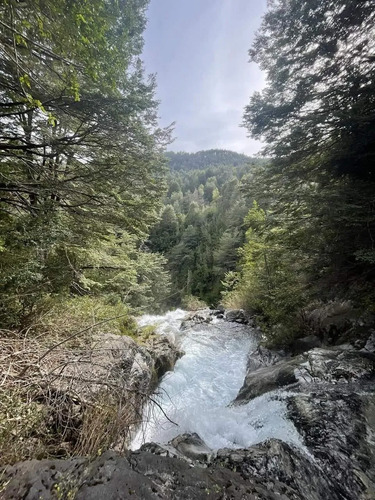 Campo Sector Huerquehue, Termas Rio Blanco