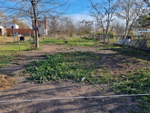 Terreno Olivera Luján
