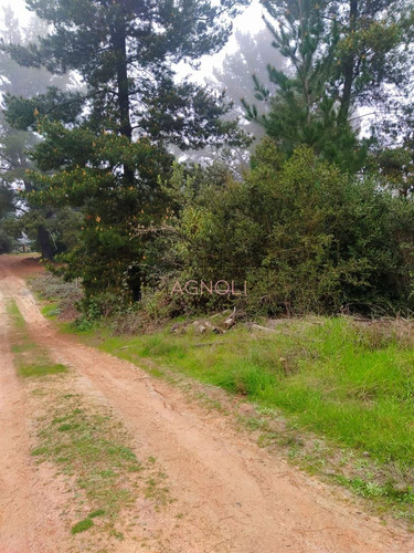 Sitio En Venta De 1500 M2 Camino A Puertecillo, Navidad
