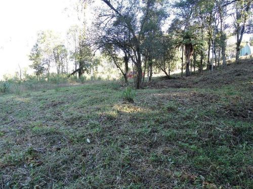 Imagem 11 de 15 de Terreno À Venda, 463 M² Por R$ 446.800,00 - Vivendas Do Arvoredo - Gramado/rs - Te0093