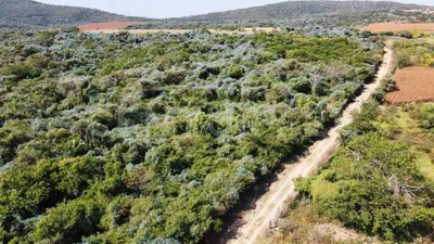 Terreno en venta