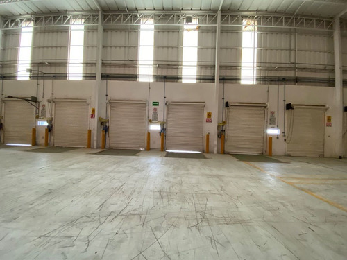 Renta Bodega Cámara Fría Gustavo A Madero