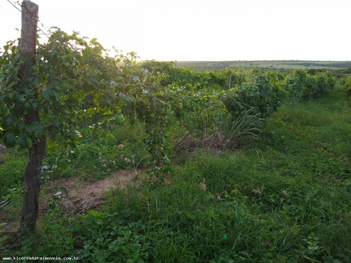 Imagem 13 de 15 de Fazenda Para Venda Em Ceará-mirim, Centro, 2 Dormitórios, 2 Banheiros, 2 Vagas - Kc 0394_2-1192672