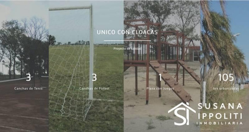Imagen 8 de 14 de Lotes Con Orientación Este De 518m2 En Roldán