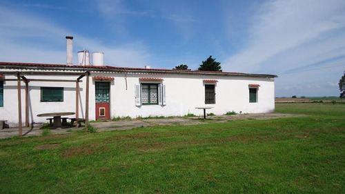 Campo En Venta En Lavalleja, 360 Hectáreas.